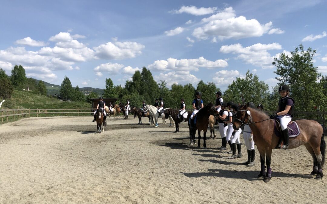 Klubbmestere